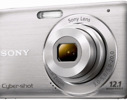 Фотоаппарат Sony Cybershot DSC-W310 Silver